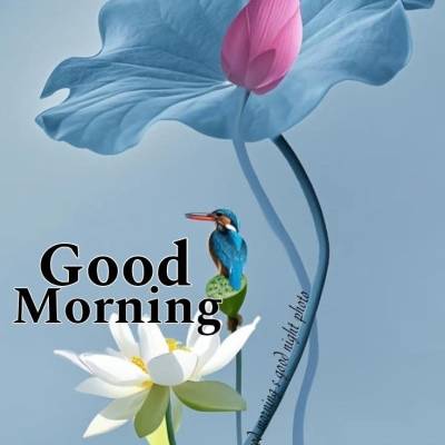 Firoz Kabir